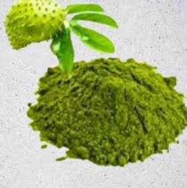 Soursop leaf powder 100 gms. - Image 3